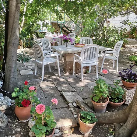 Front A Stone Throw Away From The Sea Villa Cavtat